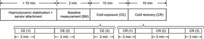 Heart Rate Variability (HRV) and Pulse Rate Variability (PRV) for the Assessment of Autonomic Responses